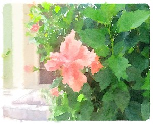 Painted in Waterlogue